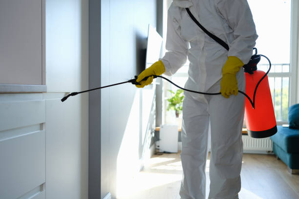 Best Fast Mold Removal  in Clover Creek, WA