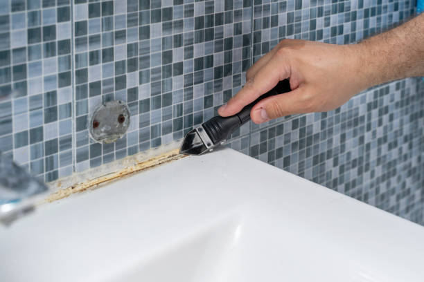 Best Mold Remediation  in Clover Creek, WA